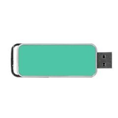 True Biscay Green Solid Color Portable Usb Flash (two Sides) by SpinnyChairDesigns