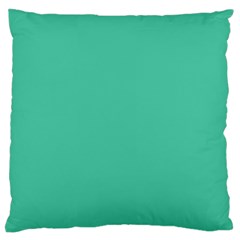 True Biscay Green Solid Color Large Flano Cushion Case (one Side) by SpinnyChairDesigns