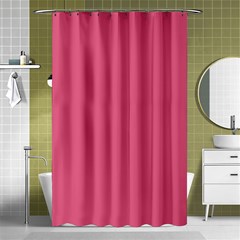 True Blush Pink Color Shower Curtain 48  X 72  (small)  by SpinnyChairDesigns