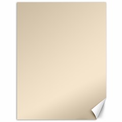 True Champagne Color Canvas 36  x 48 