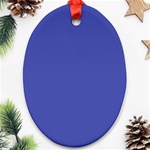 Dark Slate Blue Color Oval Ornament (Two Sides) Front