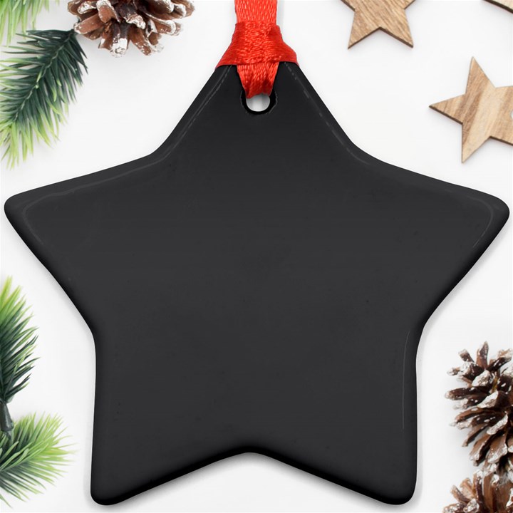 Dark Slate Grey Color Star Ornament (Two Sides)