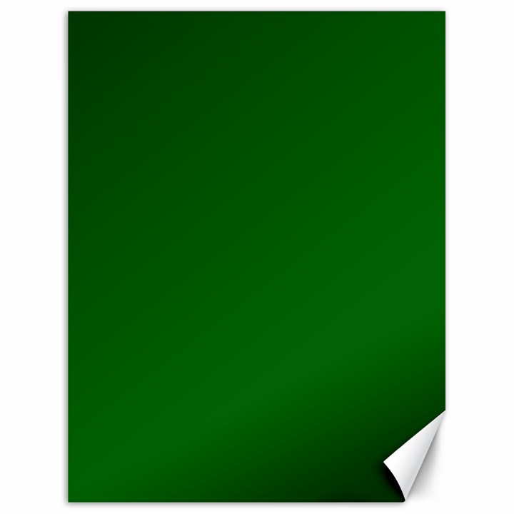 True Emerald Green Color Canvas 18  x 24 