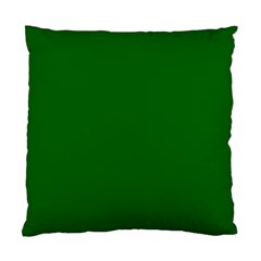 True Emerald Green Color Standard Cushion Case (one Side) by SpinnyChairDesigns