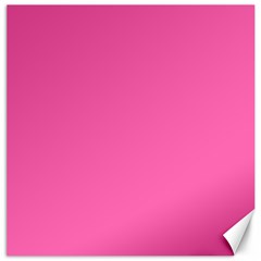 Hot Hollywood Pink Color Canvas 12  x 12 