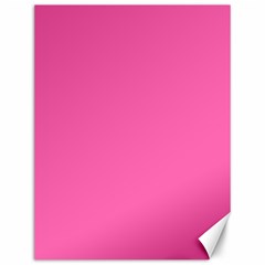 Hot Hollywood Pink Color Canvas 12  x 16 