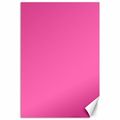 Hot Hollywood Pink Color Canvas 12  x 18 