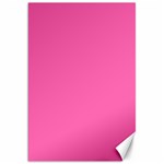 Hot Hollywood Pink Color Canvas 20  x 30  19.62 x28.9  Canvas - 1