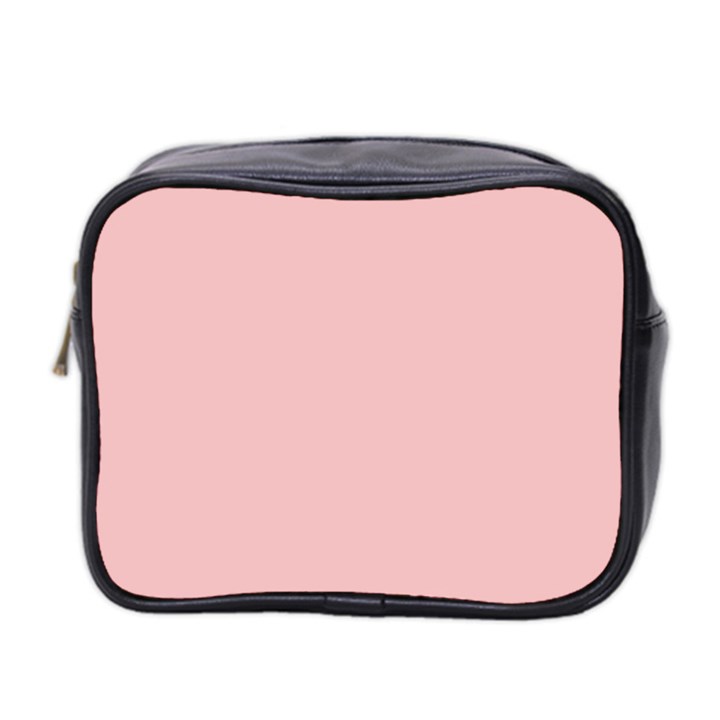 Baby Pink Color Mini Toiletries Bag (Two Sides)