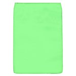 Mint Green Color Removable Flap Cover (L) Front