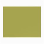 Olive Green Color Small Glasses Cloth (2 Sides) Front