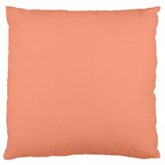 True Peach Color Large Cushion Case (two Sides) by SpinnyChairDesigns