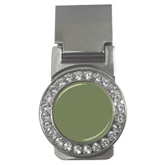 Sage Green Color Money Clips (cz)  by SpinnyChairDesigns