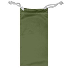 Sage Green Color Jewelry Bag by SpinnyChairDesigns