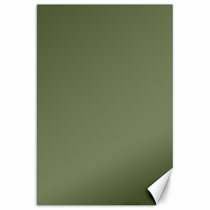 Sage Green Color Canvas 20  x 30 