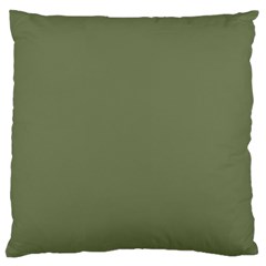 Sage Green Color Large Cushion Case (two Sides) by SpinnyChairDesigns