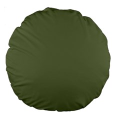 Sage Green Color Large 18  Premium Round Cushions by SpinnyChairDesigns