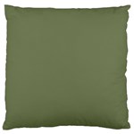 Sage Green Color Large Flano Cushion Case (Two Sides) Front