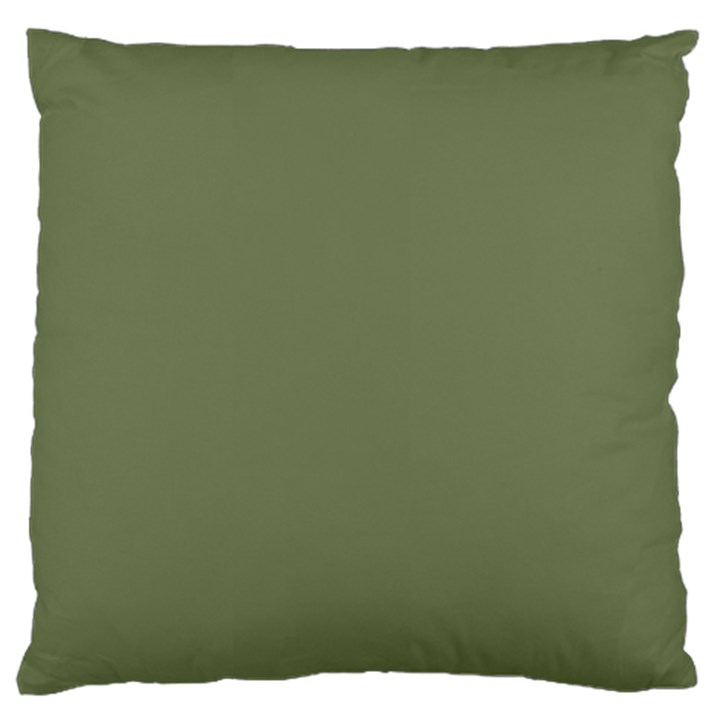 Sage Green Color Large Flano Cushion Case (Two Sides)