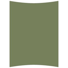 Sage Green Color Back Support Cushion by SpinnyChairDesigns