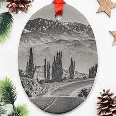 Deserted Landscape Highway, San Juan Province, Argentina Ornament (oval) by dflcprintsclothing