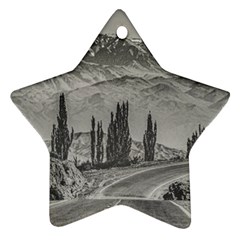 Deserted Landscape Highway, San Juan Province, Argentina Ornament (star) by dflcprintsclothing