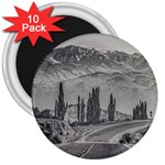 Deserted Landscape Highway, San Juan Province, Argentina 3  Magnets (10 pack)  Front