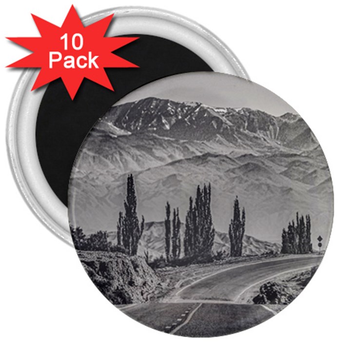 Deserted Landscape Highway, San Juan Province, Argentina 3  Magnets (10 pack) 