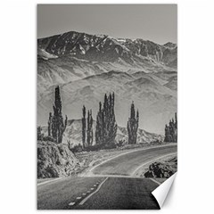 Deserted Landscape Highway, San Juan Province, Argentina Canvas 12  X 18  by dflcprintsclothing