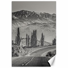 Deserted Landscape Highway, San Juan Province, Argentina Canvas 20  X 30  by dflcprintsclothing