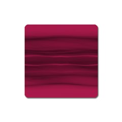 Dark Rose Pink Ombre  Square Magnet by SpinnyChairDesigns