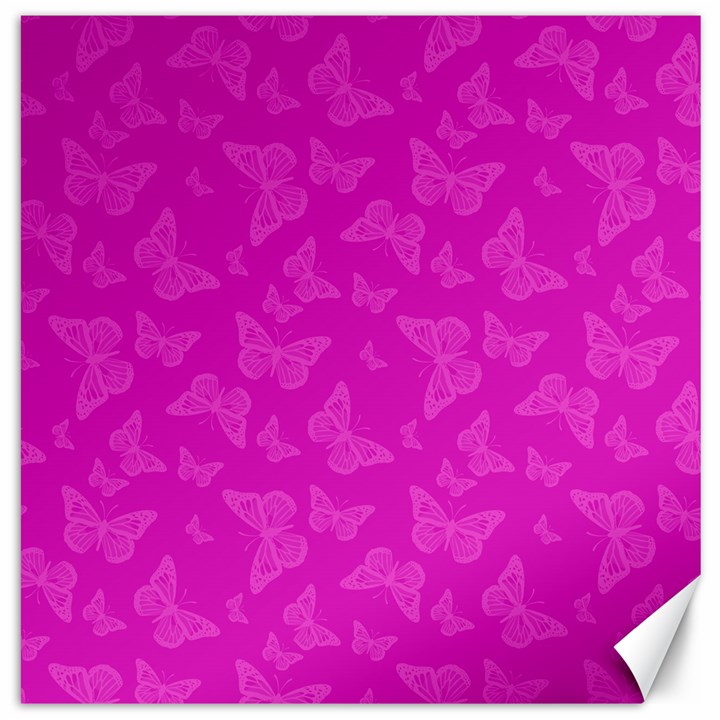 Fuchsia Butterfly Print  Canvas 20  x 20 