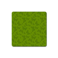 Avocado Green Butterfly Print Square Magnet by SpinnyChairDesigns