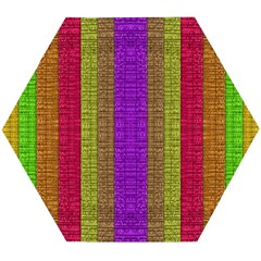 Colors Of A Rainbow Wooden Puzzle Hexagon by pepitasart