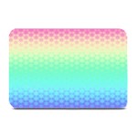 Rainbow Floral Ombre Print Plate Mats 18 x12  Plate Mat