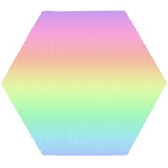 Pastel Rainbow Ombre Wooden Puzzle Hexagon by SpinnyChairDesigns