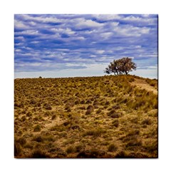 Patagonia Landscape Scene, Santa Cruz - Argentina Tile Coaster by dflcprintsclothing