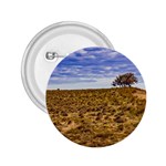 Patagonia Landscape Scene, Santa Cruz - Argentina 2.25  Buttons Front