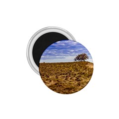 Patagonia Landscape Scene, Santa Cruz - Argentina 1 75  Magnets by dflcprintsclothing