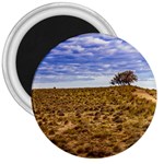 Patagonia Landscape Scene, Santa Cruz - Argentina 3  Magnets Front