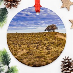 Patagonia Landscape Scene, Santa Cruz - Argentina Ornament (round) by dflcprintsclothing