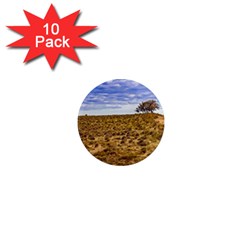 Patagonia Landscape Scene, Santa Cruz - Argentina 1  Mini Magnet (10 Pack)  by dflcprintsclothing