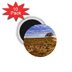 Patagonia Landscape Scene, Santa Cruz - Argentina 1 75  Magnets (10 Pack)  by dflcprintsclothing