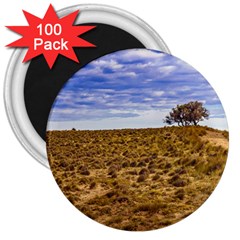 Patagonia Landscape Scene, Santa Cruz - Argentina 3  Magnets (100 Pack) by dflcprintsclothing