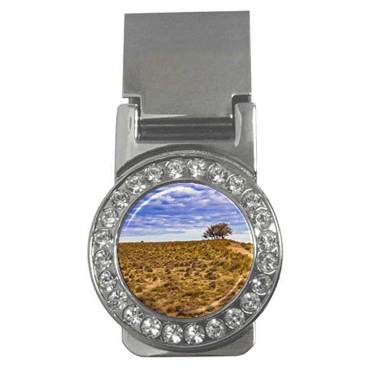 Patagonia Landscape Scene, Santa Cruz - Argentina Money Clips (CZ) 