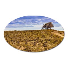 Patagonia Landscape Scene, Santa Cruz - Argentina Oval Magnet by dflcprintsclothing