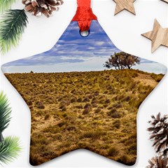 Patagonia Landscape Scene, Santa Cruz - Argentina Star Ornament (two Sides) by dflcprintsclothing