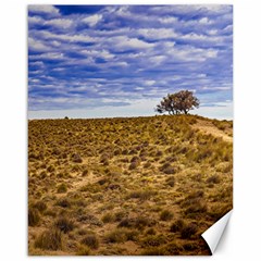 Patagonia Landscape Scene, Santa Cruz - Argentina Canvas 16  X 20  by dflcprintsclothing