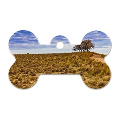 Patagonia Landscape Scene, Santa Cruz - Argentina Dog Tag Bone (one Side) by dflcprintsclothing