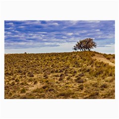 Patagonia Landscape Scene, Santa Cruz - Argentina Large Glasses Cloth by dflcprintsclothing